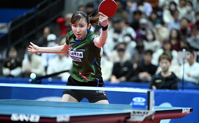 丰富的跑者 丰富的跑者