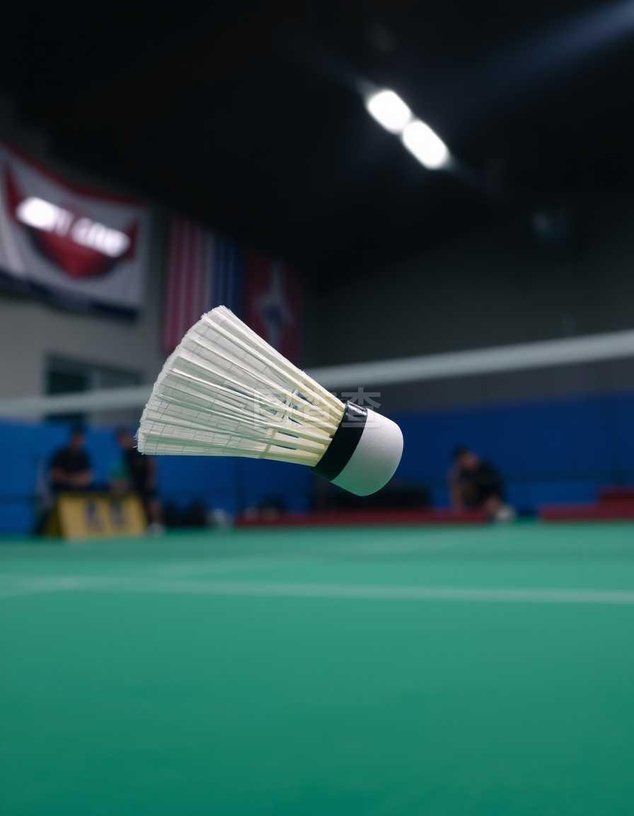 体育刘诗雯、马龙领衔国际乒联世界杯球员名单